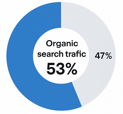 Pie chart showing 53 % of website traffic from organic search and 47 % from other sources