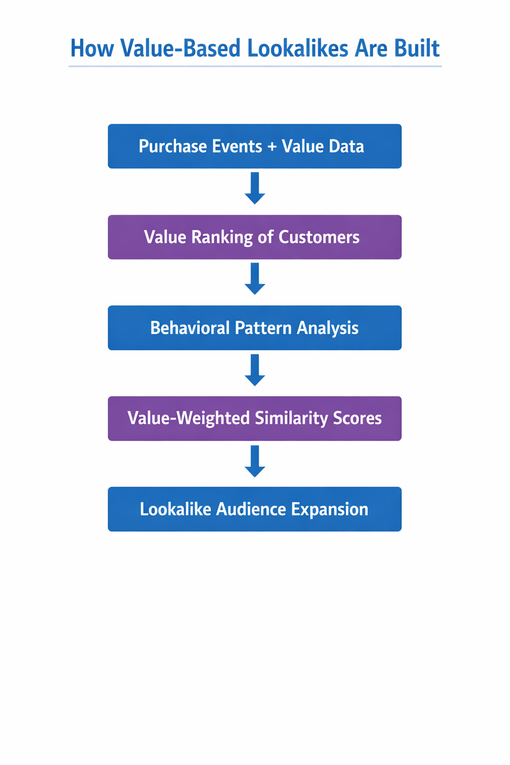 Flow diagram showing how purchase value data is used to build value-based lookalike audiences.
