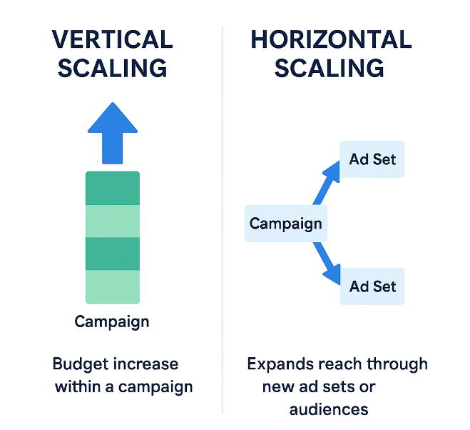 Infographic comparing vertical scaling (budget increase) versus horizontal scaling (duplicating campaigns or new audiences)