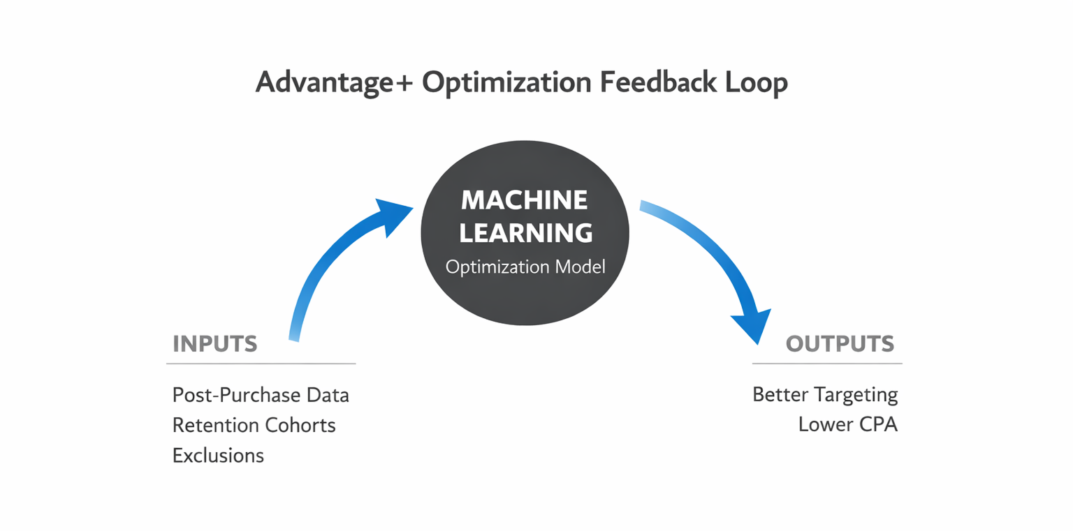 Advantage Plus feedback loop diagram showing how machine learning uses post-purchase signals to improve ad performance.