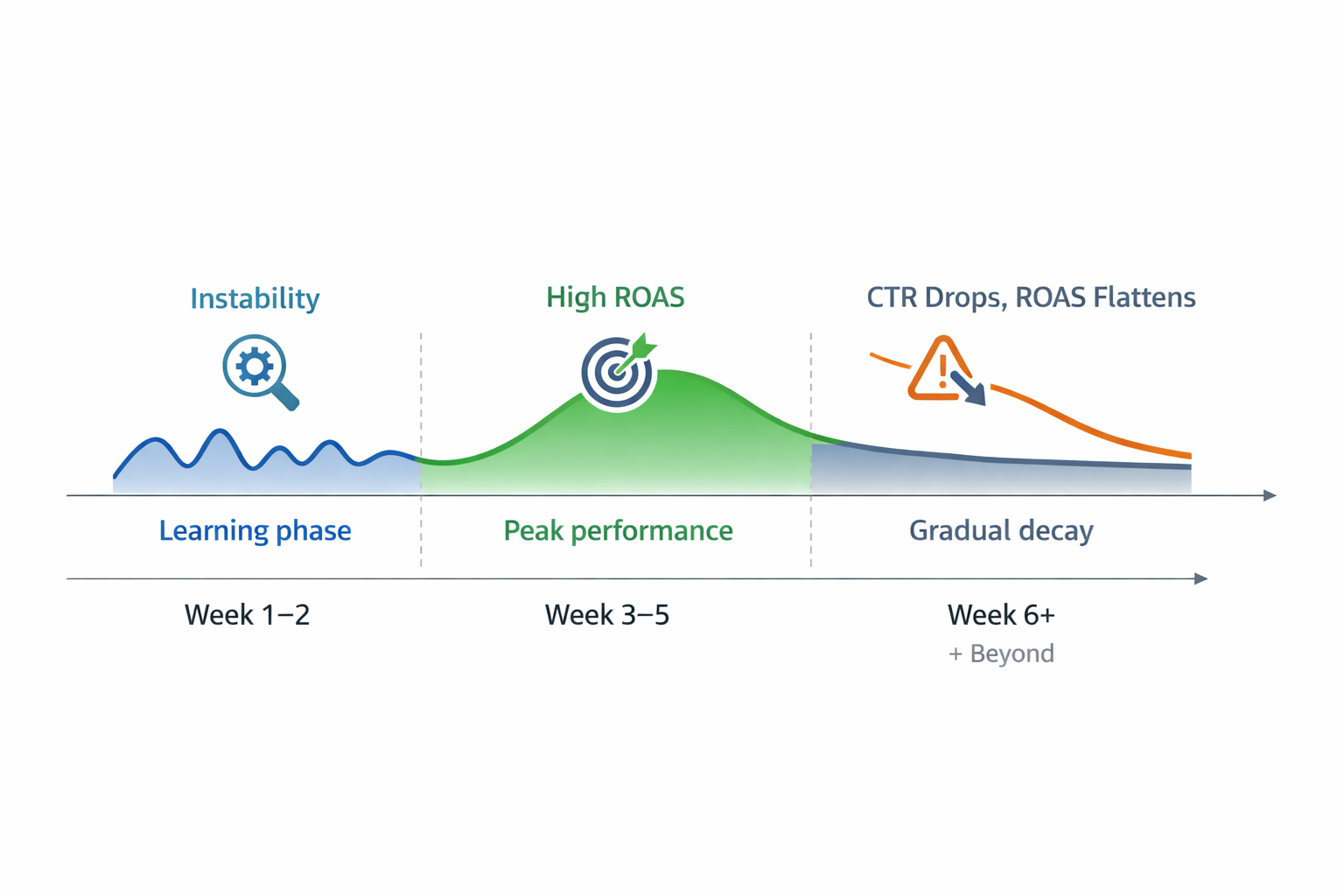 Ad campaign performance timeline showing learning phase, peak ROAS, and gradual decay over 8 weeks