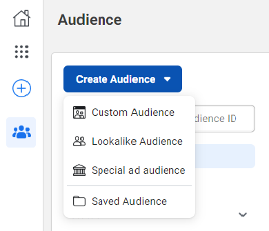 custom audience